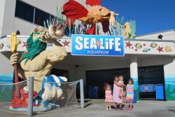 Legoland sea hot sale life hours